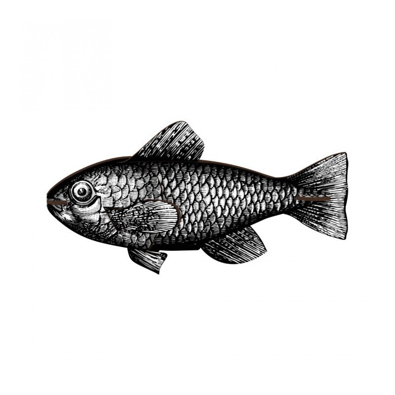 mhfishs418_n_1