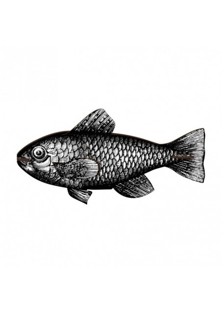mhfishs418_n_1