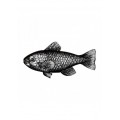 mhfishs418_n_1