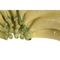 itfd214891_4
