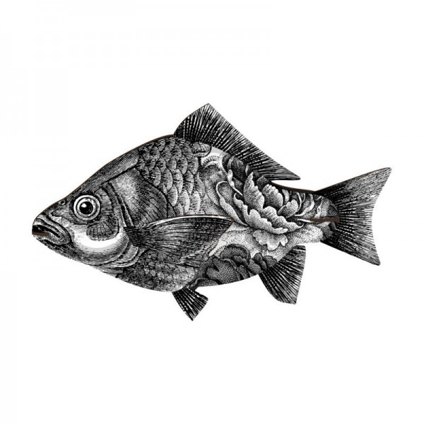 mhfishl404_1