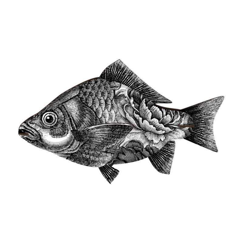 mhfishl404_1