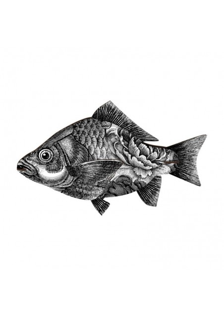 mhfishl404_1