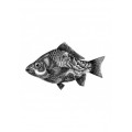 mhfishl404_1