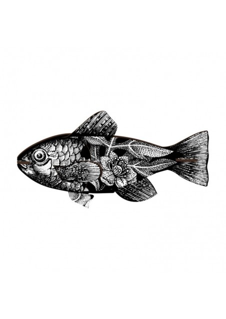 mhfishs417_1