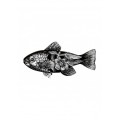 mhfishs417_1