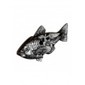 mhfishs417_2