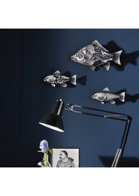 mhfishs417_3