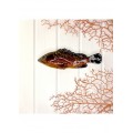 frcernia_1